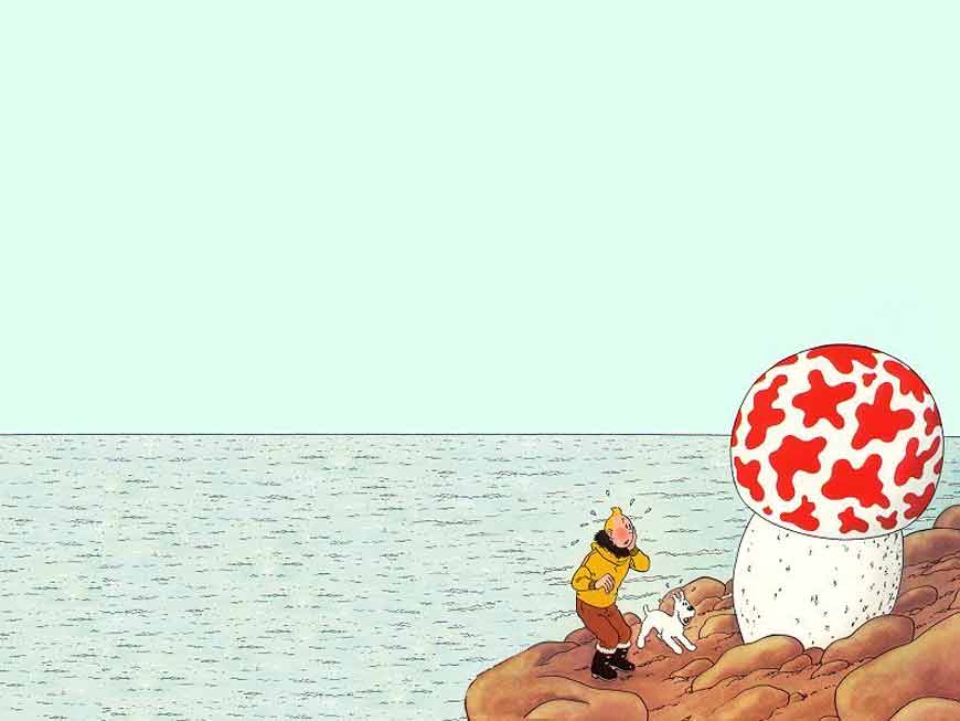 Petit jeu d'images - Page 3 Tintin-champignon