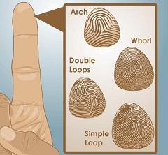 Rahasia di Balik Sidik Jari Fingerprint-02