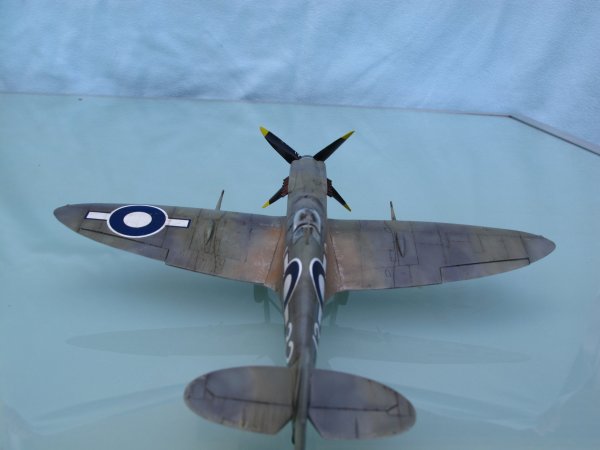 Seafire F. XV - Revell (Special Hobby) 15315eea-f81b-4ef7-96eb-977ddc207072