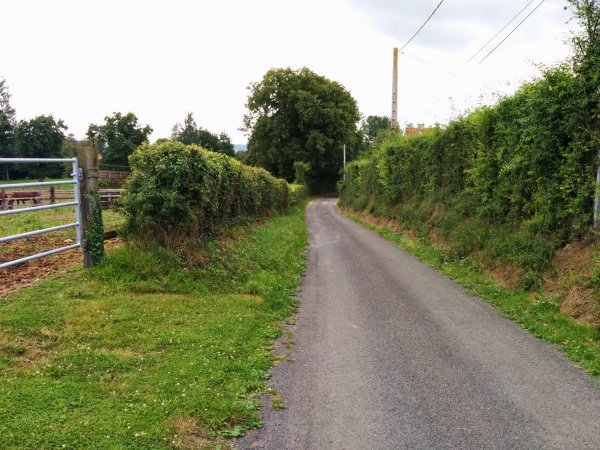 Le couloir de la mort et le gué de Moissy (bataille de Normandie) 6c4fb171-b8f6-486f-bd03-b51d7f1249ba