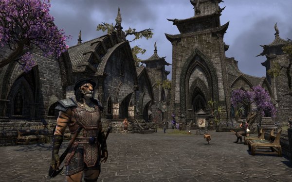 [MMO] Elder Scrolls Online : 20 ans de Saga RPG sont dedans 8c0bc025-e3cd-409a-9f6b-638d7091fa0a