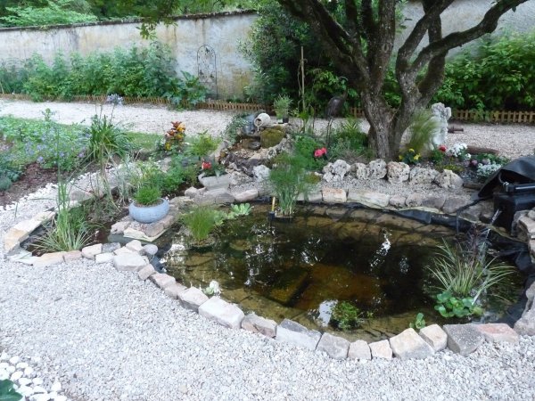 Bassin/mare de jardin + Tonneau B72c9dc6-fb28-4e6b-b33c-d34991405e52