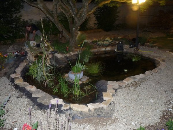 Bassin/mare de jardin + Tonneau Df84c3f8-8e5e-4493-8334-db0d5c3b90f0