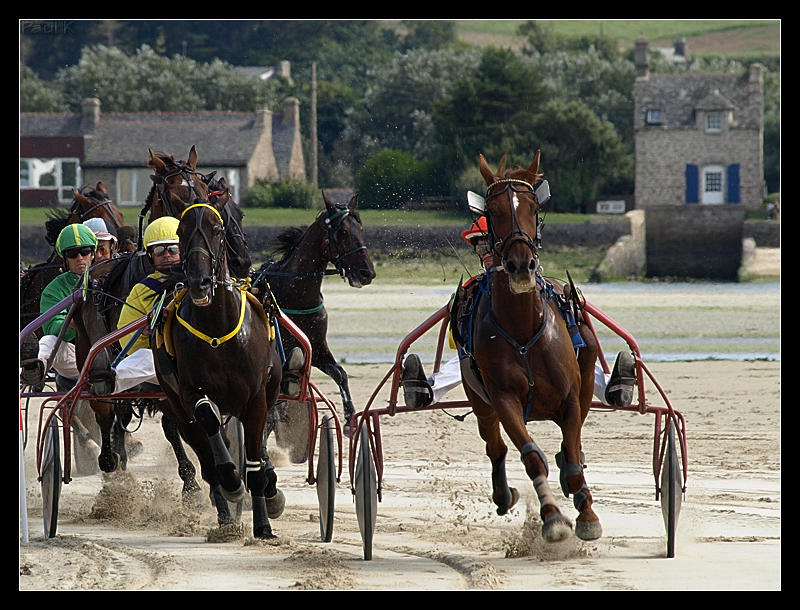 trot et galop à la plage Image17