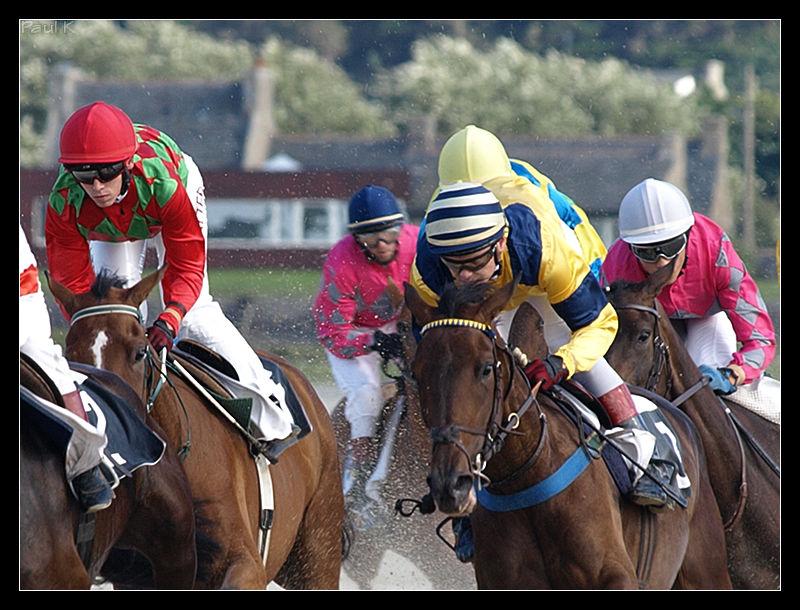 trot et galop à la plage Image35