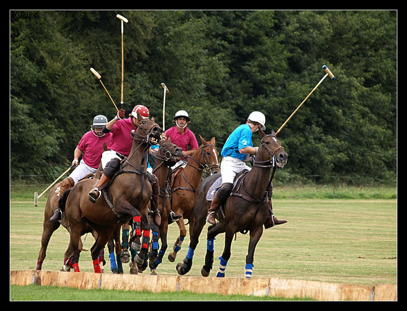 Encore des chevaux : tournoi de polo au Chef-du-Bois à La Forêt-Fouesnant Image54