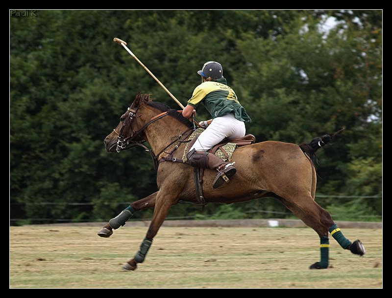 Encore des chevaux : tournoi de polo au Chef-du-Bois à La Forêt-Fouesnant Image69
