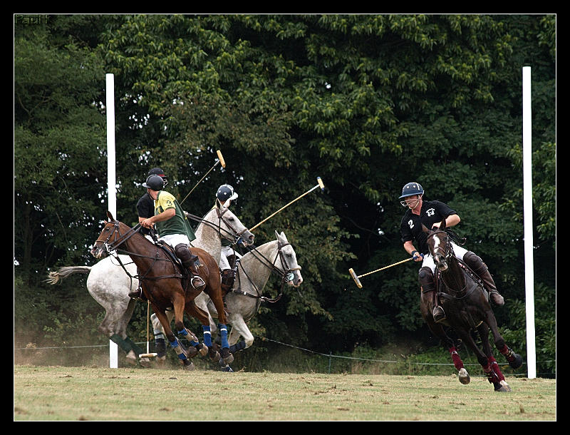 Encore des chevaux : tournoi de polo au Chef-du-Bois à La Forêt-Fouesnant Image71