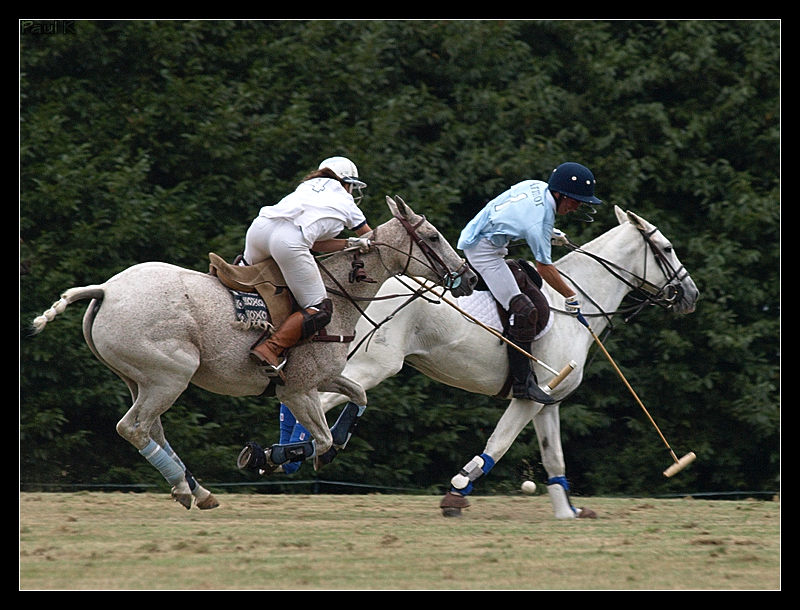 Encore des chevaux : tournoi de polo au Chef-du-Bois à La Forêt-Fouesnant Image76