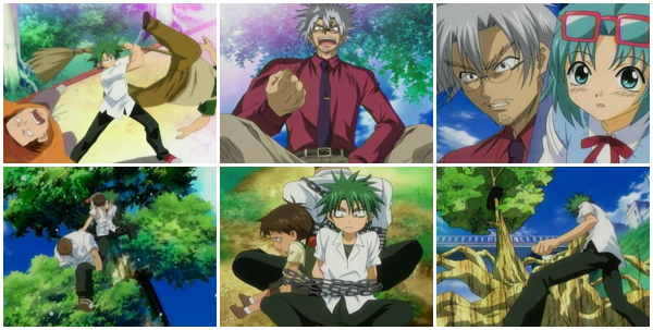 تقرير عن انمـــــــــــي The Law Of Ueki Law-of-ueki