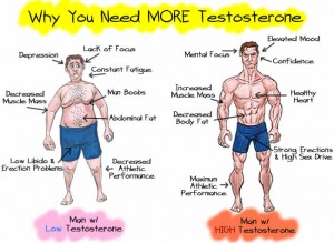 25 ŞUBAT 2018 PAZAR BULMACASI SAYI : 1665 - Sayfa 2 Testosterone-transformation-300x219