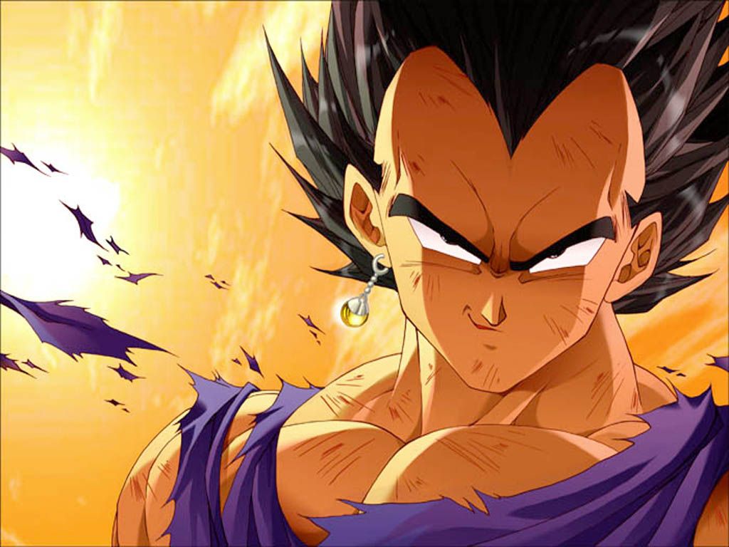 presatation vegeta 003 Sqgtff2u