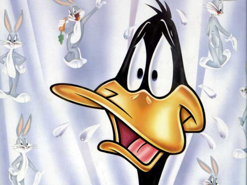 Daffy Duck Daffy-Duck