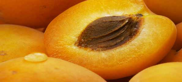 10 Anti-Agings Foods Apricot