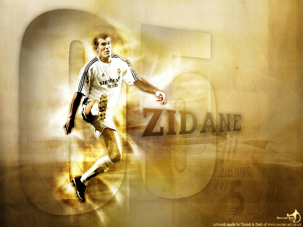 ZIDANISM"ZIDAN CAREER" Zidan