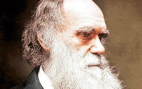 Charles Darwin Charles-Darwin