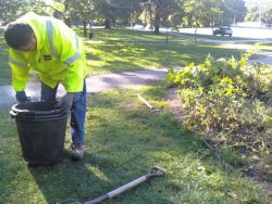 City Of Toronto Workers Destroy Free Community Food Garden 0928020951a