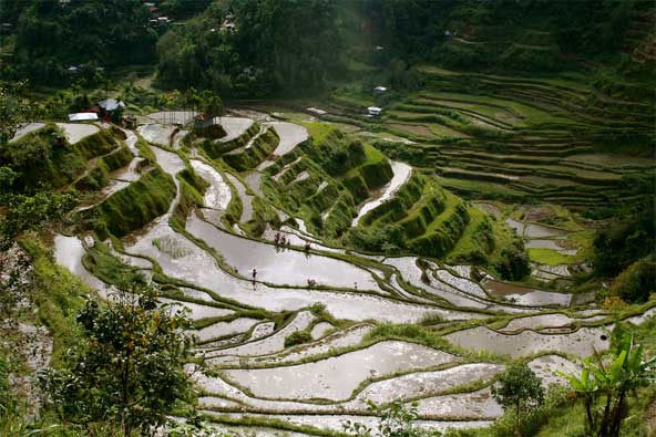 صور سياحيه من الفلبين جنان Terraces