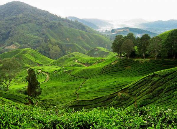 السياحة في ماليزيا Malaysia-nature