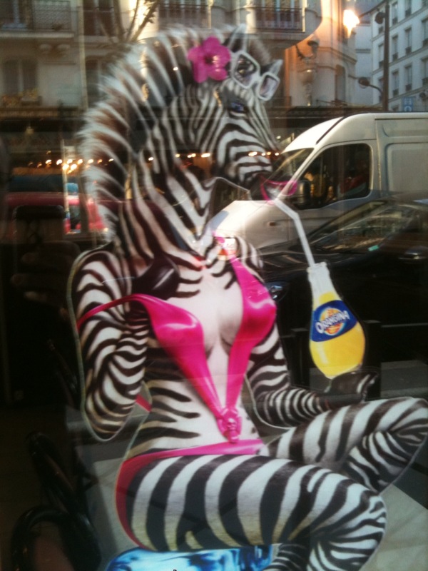 Un an pile, je rempile Sexy-zebra1