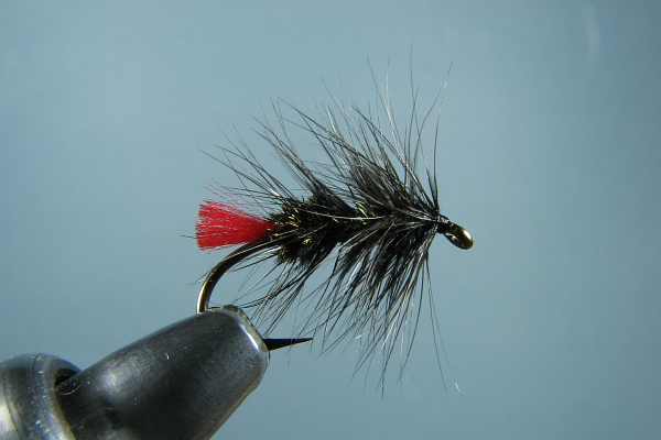 choix de mouche BlackPalmerRedTag