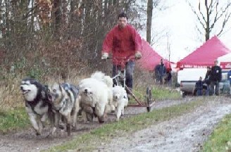 Décrassage des pitits Ululik ... Att%20terre2