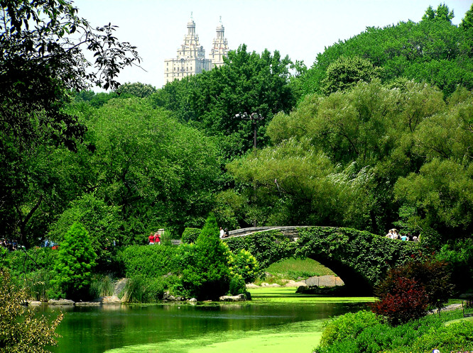 Central Park Holiday-travel-tips-new-york-ny-usa-central-park-pond