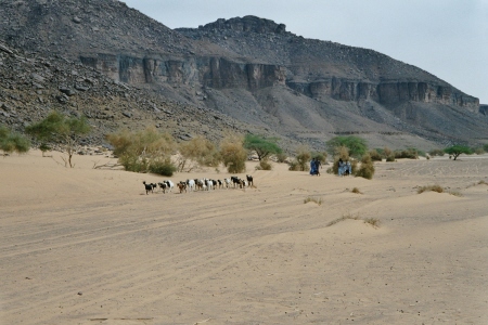 مناظر من بلادي(موريتانيا) Imm18