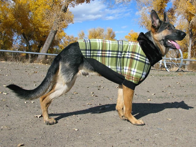 arthrose - Froid: lui faire porter un manteau ou pas? - Page 2 20091107w_fidofleece01