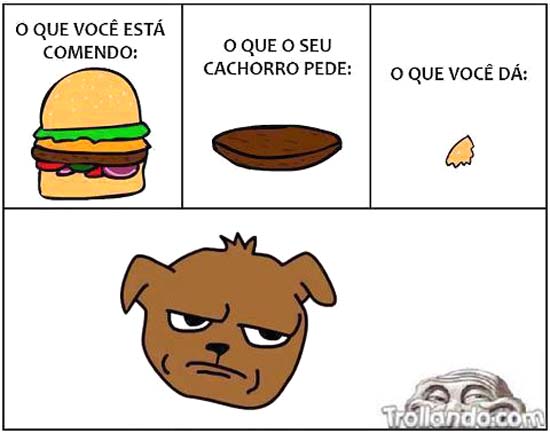 Dando comida pro cachorro COMIDAAA