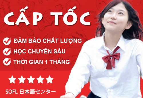 Giới thiệu khóa học tiếng Nhật cấp tốc tại Hà Nội Khoa-hoc-tieng-nhat-cap-toc