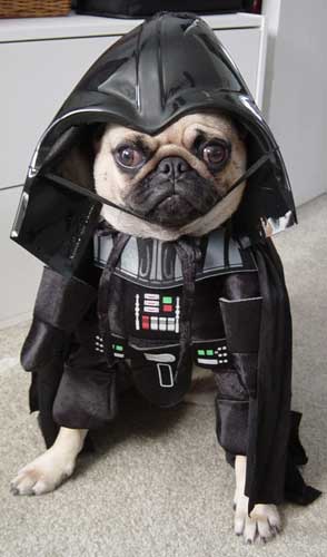 Les potes du Prez !!! Darth-vader-dog-costume