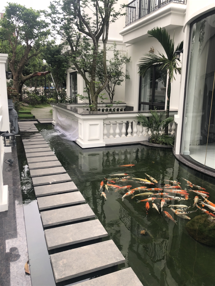 Thi công Biệt Thự Vinhome Riverside Hoa Lan San%20vuon%201