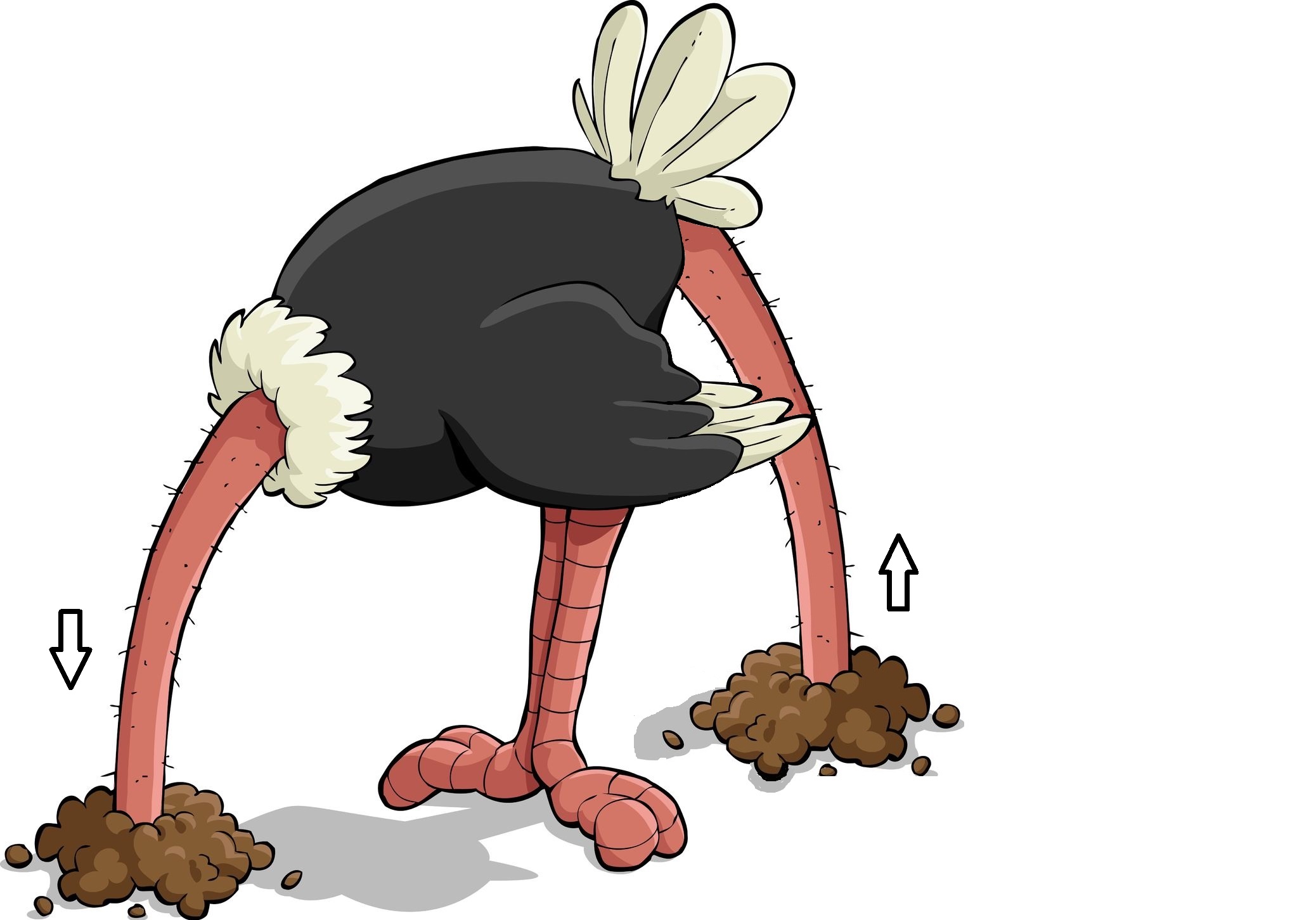 United States AI Solar System (12) - Page 2 Ostrich-with-head-in-sand-and-up-its-butt