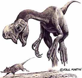 Jurasic  park 20060709232903-oviraptor