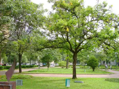 [Kiri] Praça - Página 2 Praca-da-liberdade-11