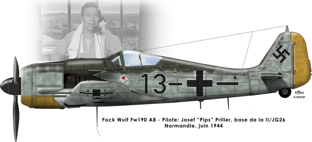 Pips is back - Fw190A8 Fw-Pips