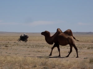 CR Périple en Mongolie et en Russie 9