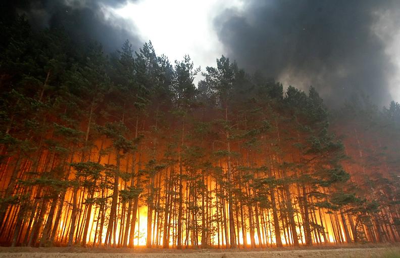 30 Bencana alam yang "terlalu indah" untuk dilewatkan Forest-fire-in-russia-2010