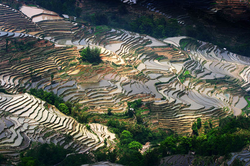 நம்பத்தகாத புகைப்படங்கள் சில  Rice-terraces-13