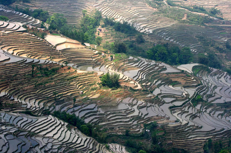 நம்பத்தகாத புகைப்படங்கள் சில  Rice-terraces-15