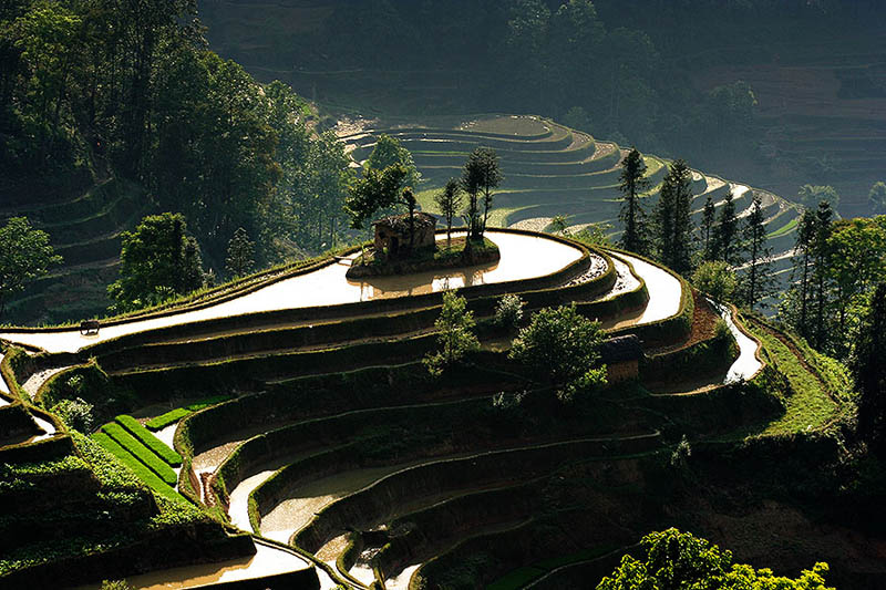 நம்பத்தகாத புகைப்படங்கள் சில  Rice-terraces-16