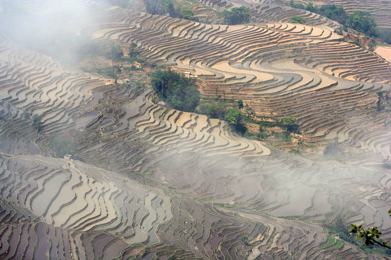 நம்பத்தகாத புகைப்படங்கள் சில  Rice-terraces-18