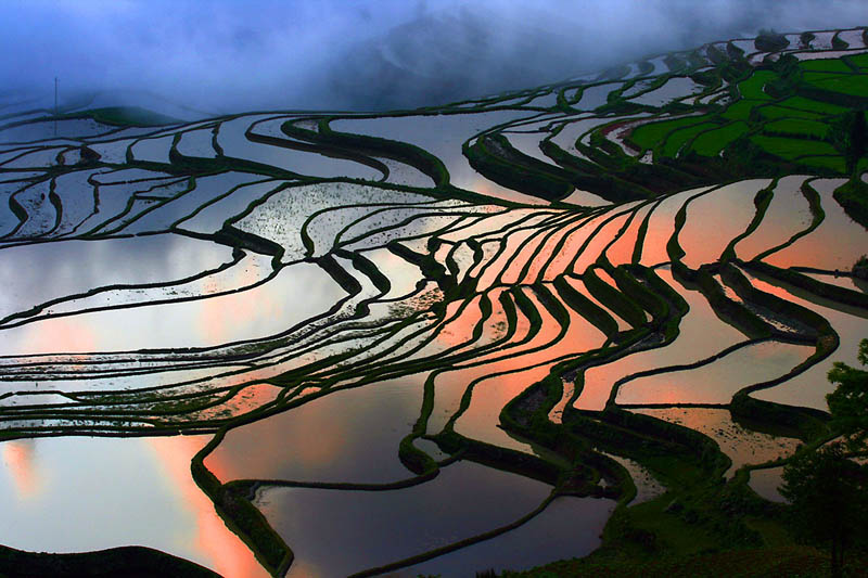 நம்பத்தகாத புகைப்படங்கள் சில  Rice-terraces-19