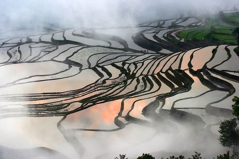 நம்பத்தகாத புகைப்படங்கள் சில  Rice-terraces-23