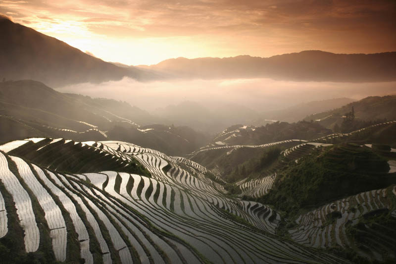 நம்பத்தகாத புகைப்படங்கள் சில  Rice-terraces-24