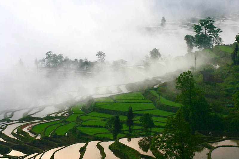 நம்பத்தகாத புகைப்படங்கள் சில  Rice-terraces-25