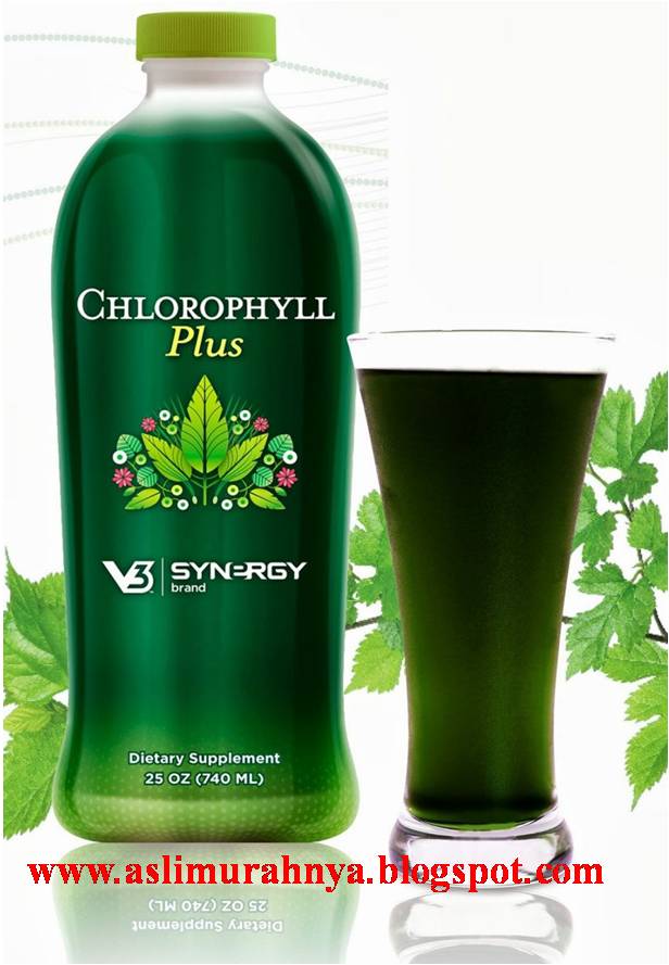 Chlorophyll synergy super murah Rp200rb/btl 730ml Free B.kirim DKI ChplaslimurahnyaK