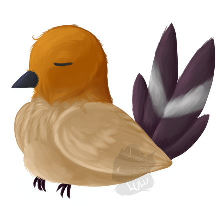 Ciro the Shiny Fletchling [Floater] [WIP] CiroProfile