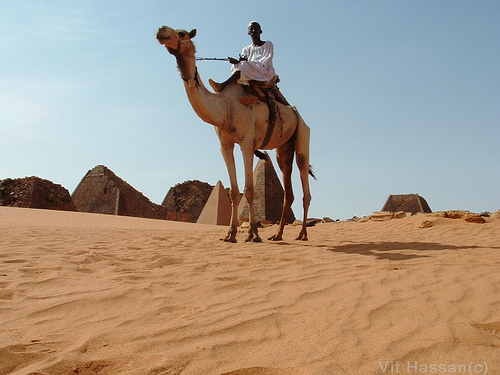 من داخل قلب السودان .... احلي الصور 09121117501260